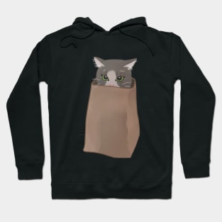 Cat in a bag Hoodie